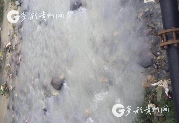 （要闻/大生态）“牛奶河”变“清水河” 洋水河“旧貌换新颜”