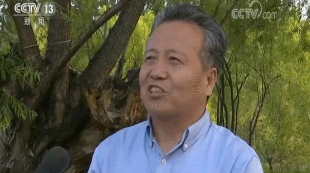 各民族团结携手真抓实干 继续建设美丽新宁夏——习近平总书记在宁夏考察引起当地干部群众热烈反响