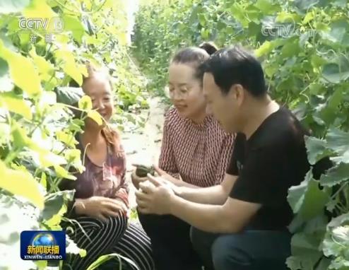 新时代 新作为 新篇章丨贫困县摘帽进程过半 脱贫质量提升