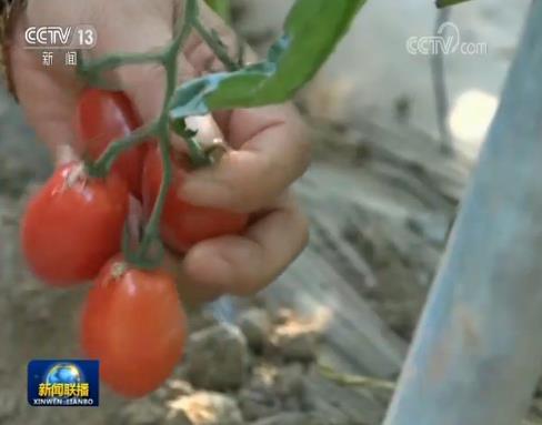 新时代 新作为 新篇章丨贫困县摘帽进程过半 脱贫质量提升
