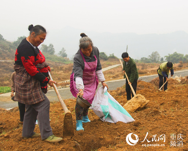（网信办要求转发）【聚焦重庆】带着感情进村入户　真抓实干落地开花