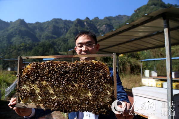 （网信办要求转发）【聚焦重庆】带着感情进村入户　真抓实干落地开花