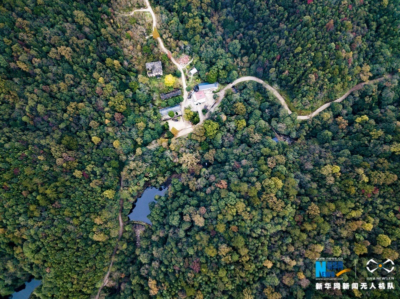 航拍江西宜丰官山自然保护区五彩斑斓胜似春景