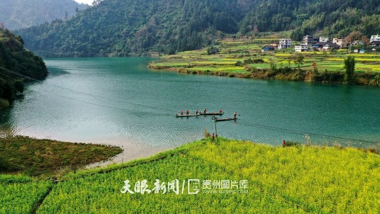 （中首）黔东南榕江：油菜花开乡村如画