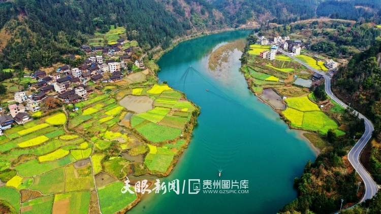 （中首）黔东南榕江：油菜花开乡村如画