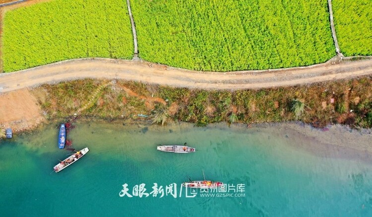 （中首）黔东南榕江：油菜花开乡村如画