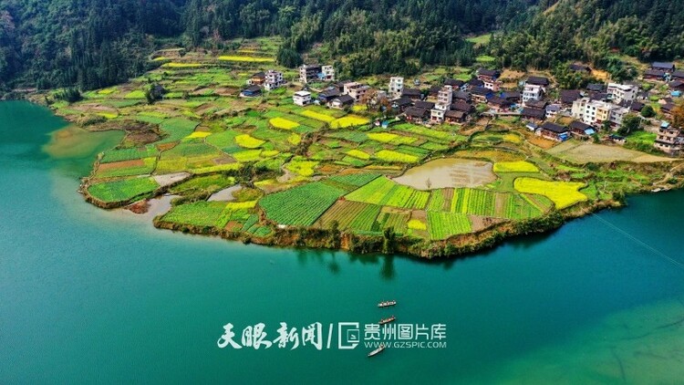 （中首）黔东南榕江：油菜花开乡村如画