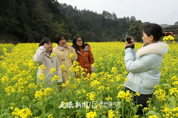 （中首）黔东南榕江：油菜花开乡村如画