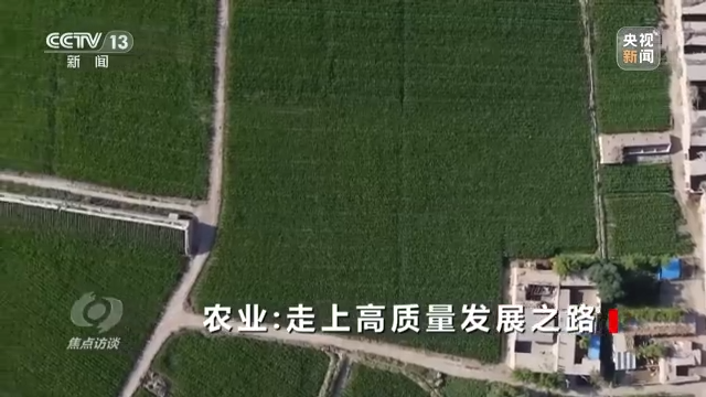焦点访谈丨农业：走上高质量发展之路