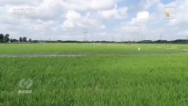 焦点访谈丨农业：走上高质量发展之路