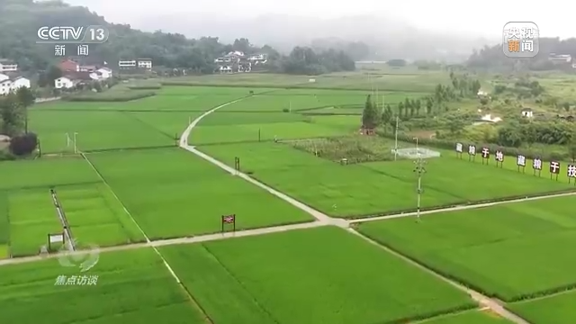 焦点访谈丨农业：走上高质量发展之路