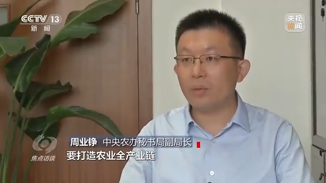 焦点访谈丨农业：走上高质量发展之路