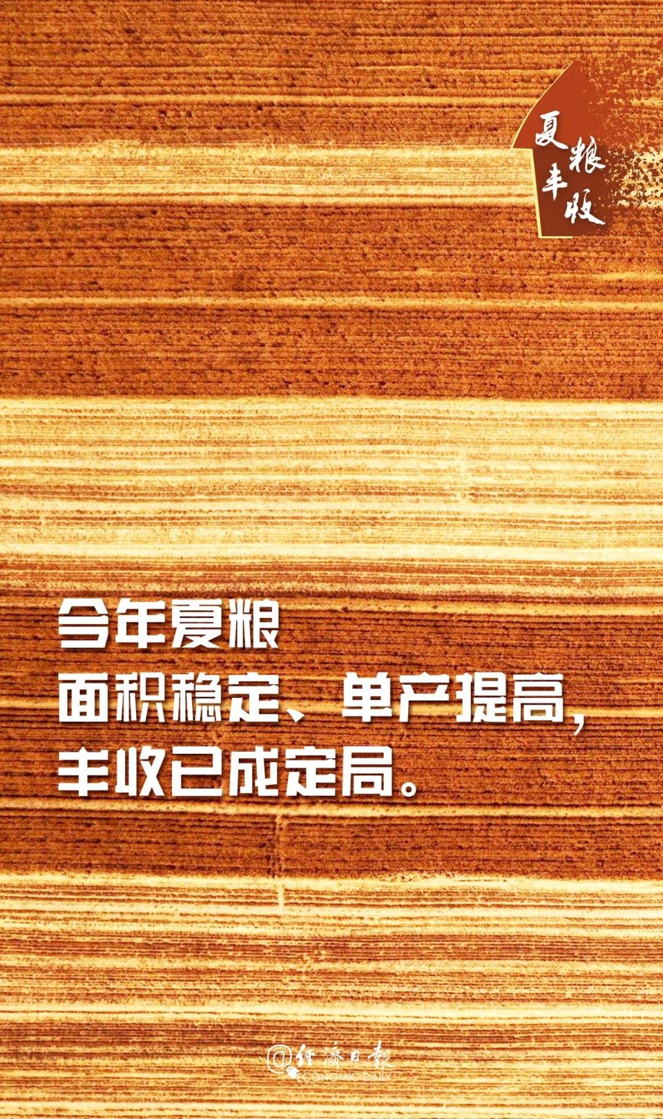 丰丰丰丰丰丰丰丰丰丰丰丰丰丰丰丰丰收！