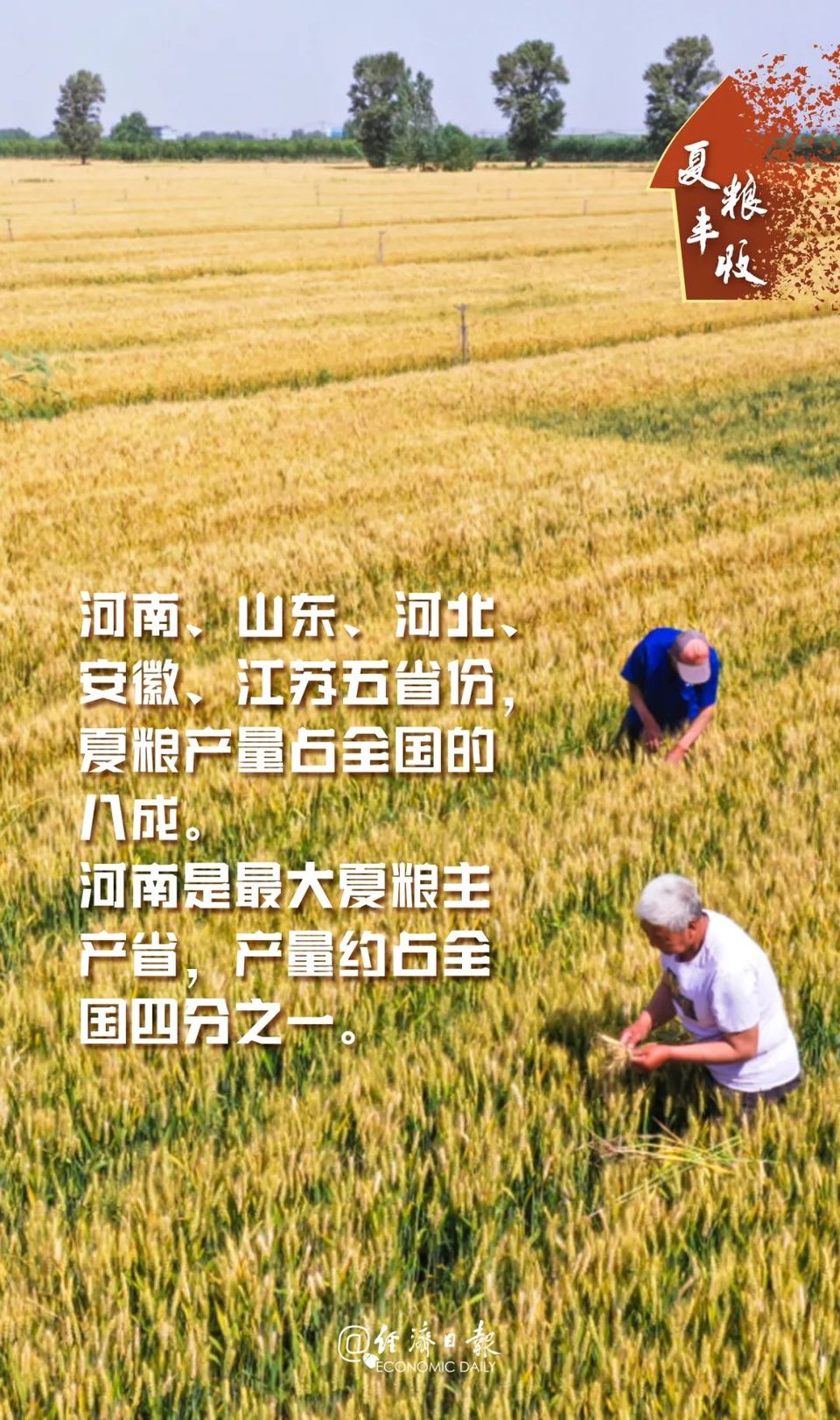 丰丰丰丰丰丰丰丰丰丰丰丰丰丰丰丰丰收！
