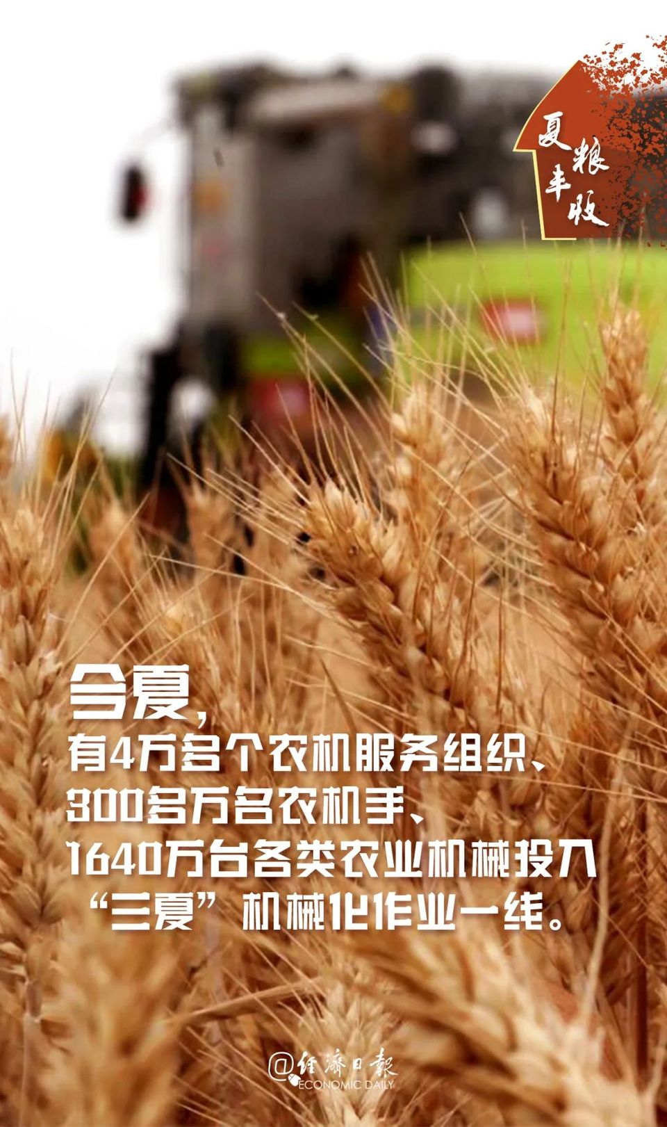 丰丰丰丰丰丰丰丰丰丰丰丰丰丰丰丰丰收！
