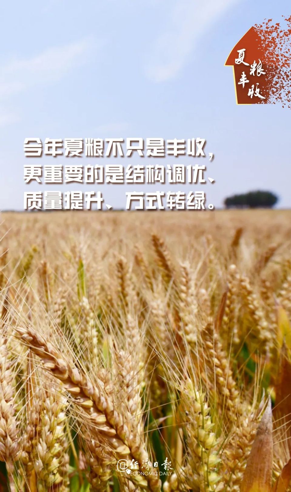 丰丰丰丰丰丰丰丰丰丰丰丰丰丰丰丰丰收！
