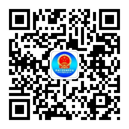 （有修改）B【黑龙江】黑龙江省全面征集“十四五”时期发展建议