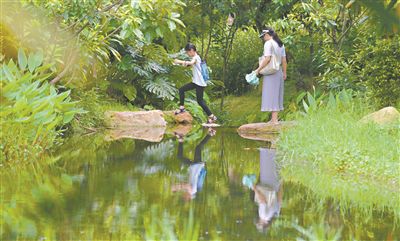 广州海珠湿地将代表中国角逐“迪拜奖”