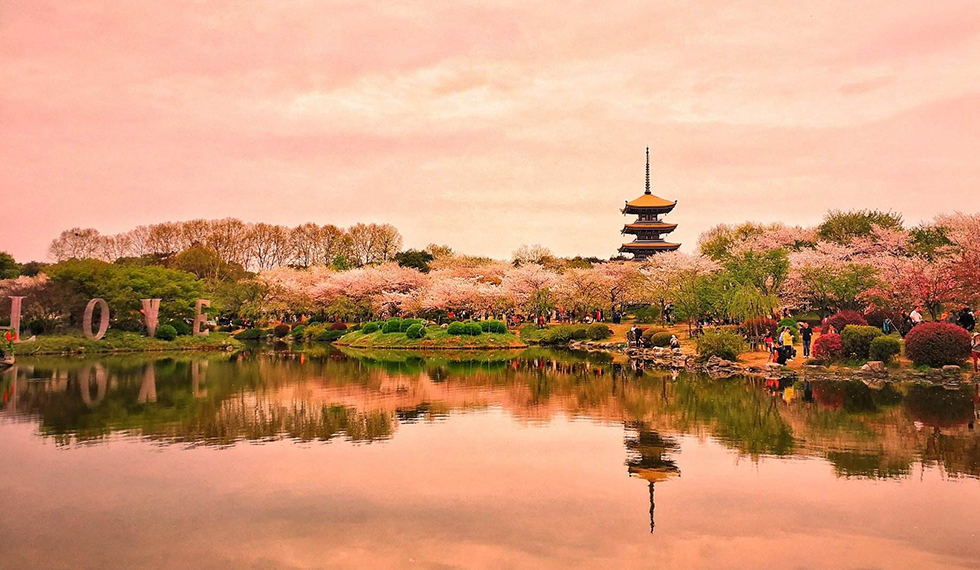图片默认标题_fororder_湖北省武汉市武昌区东湖生态旅游风景区