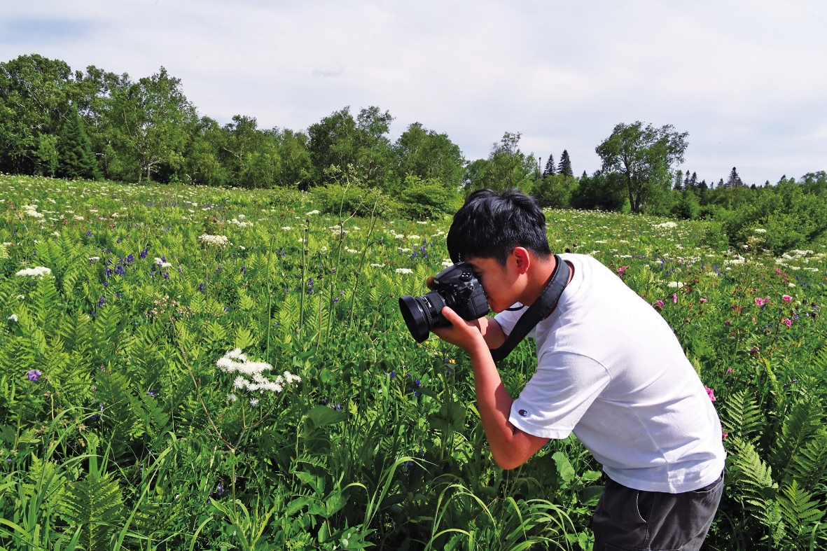 长白山高山花园又到山花烂漫时