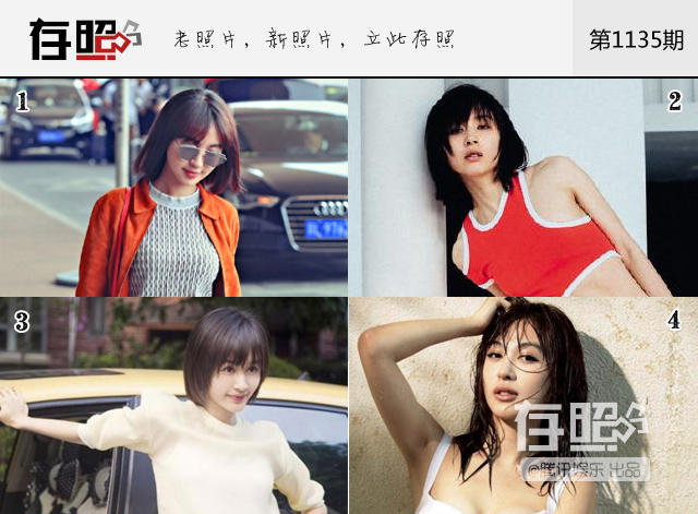 刘涛曹曦文王子文papi酱 别怪脸盲，她们实在长太像！