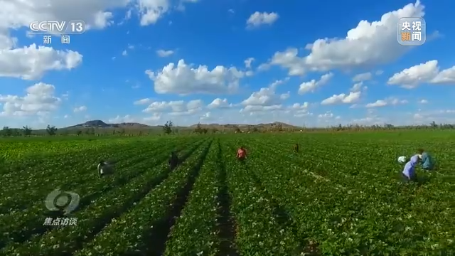 焦点访谈丨农业：走上高质量发展之路