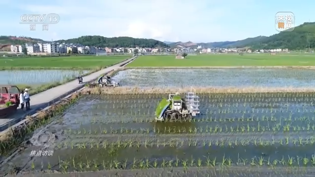 焦点访谈丨农业：走上高质量发展之路