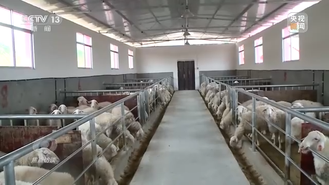 焦点访谈丨农业：走上高质量发展之路