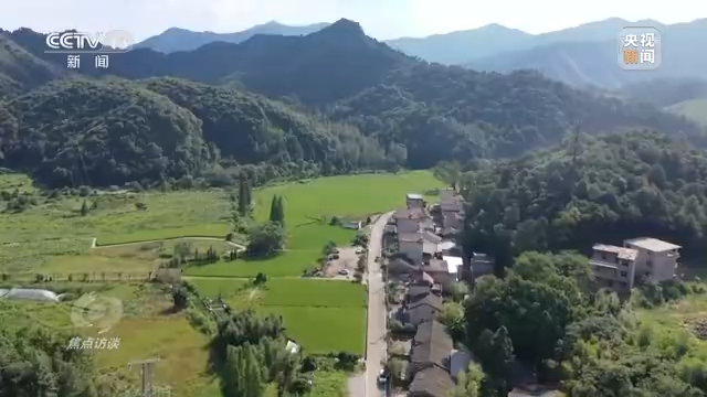 焦点访谈丨农业：走上高质量发展之路