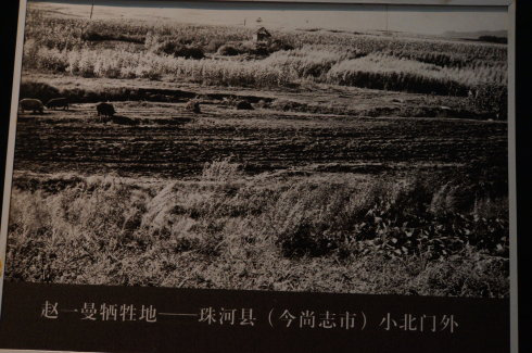 沉睡二十年的遗书：一段亲情与信仰的传奇