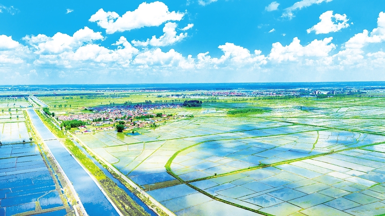 重任在肩 奋力前行——吉林省推进率先实现农业现代化工作述评