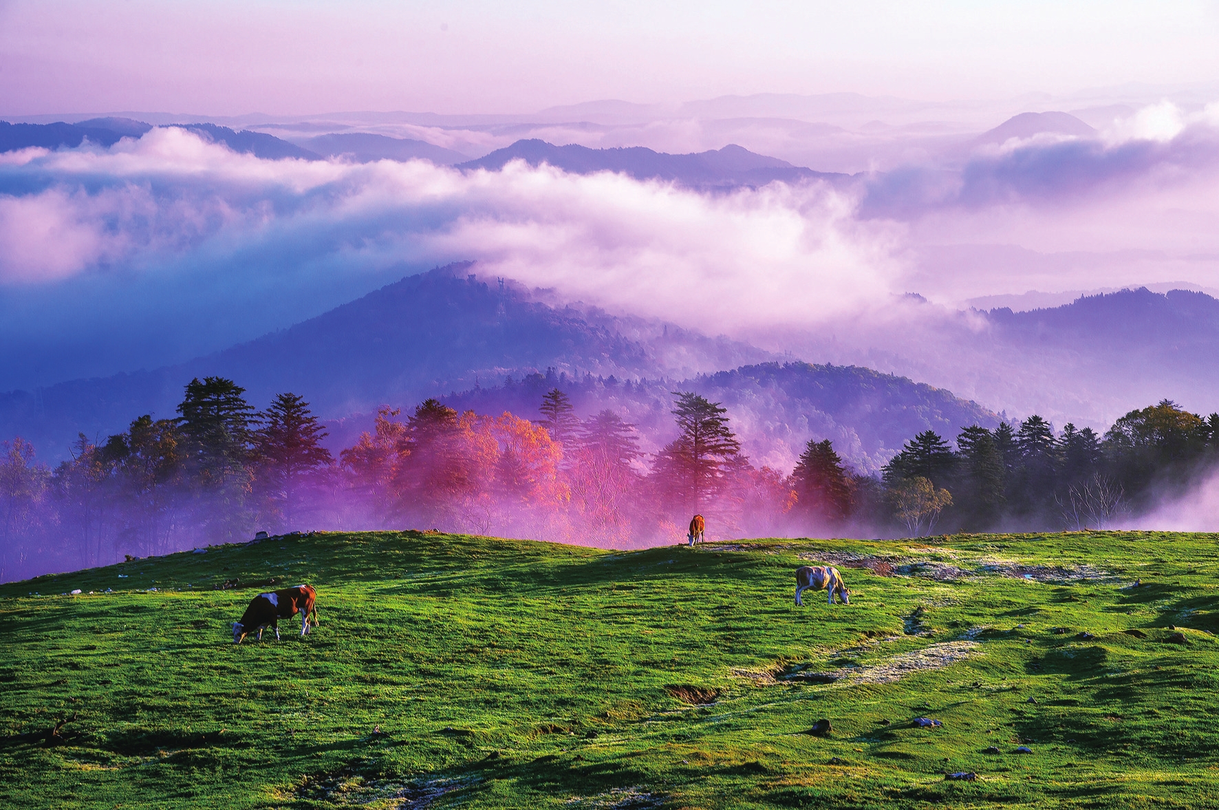 在白山行走 为山水停留
