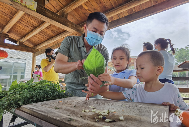 河北石家庄：花样避暑让动物惬意消夏
