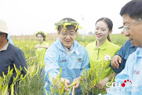 【供稿待审】大同丨星光行动·黄花订货会开启大同脱贫新模式（生态进行时）