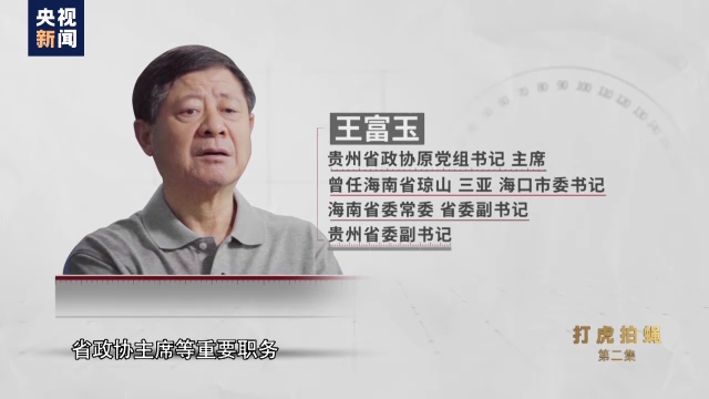 电视专题片《零容忍》第二集《打虎拍蝇》