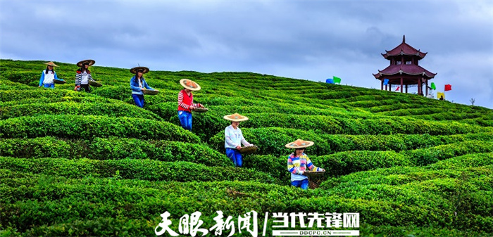 （中首）铜仁市奋力创建绿色发展先行示范区