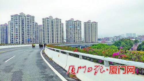 厦门集美大道BRT上跨沈海高速 跨线桥梁改善提升
