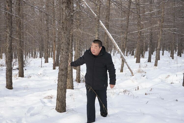 塞北小城阿尔山换了新模样