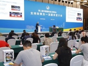 倒计时100天！支持政策、一流服务全方位助力第二届进博会顺利举行