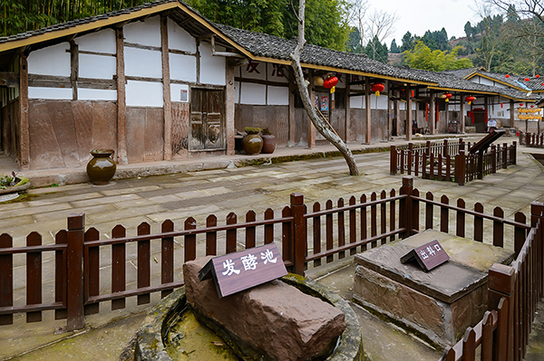 新春走基层|遂宁市安居区：沼气能源再利用 海龙村乡村振兴大有可为_fororder_6沼气旧址展示（摄影-廖志全）