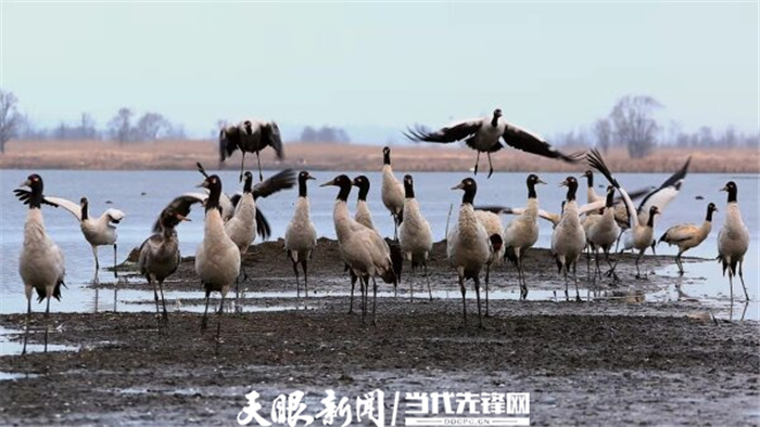 （中首）毕节威宁草海生态治理成效显著