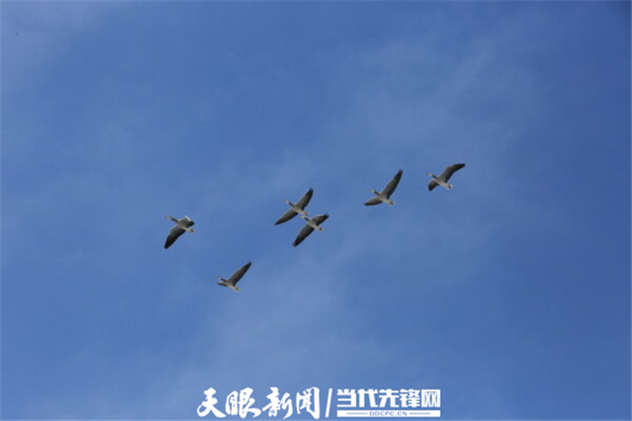 （中首）毕节威宁草海生态治理成效显著