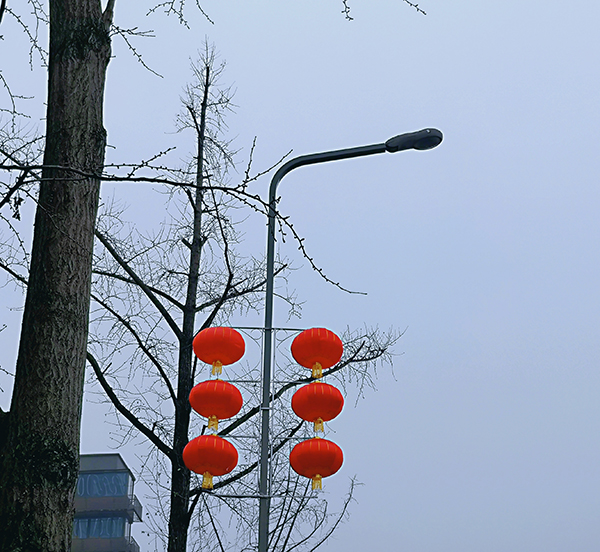 成都：大红灯笼高高挂 一帆风顺年年好_fororder_成都街头的红灯笼-摄影-王丽(1)