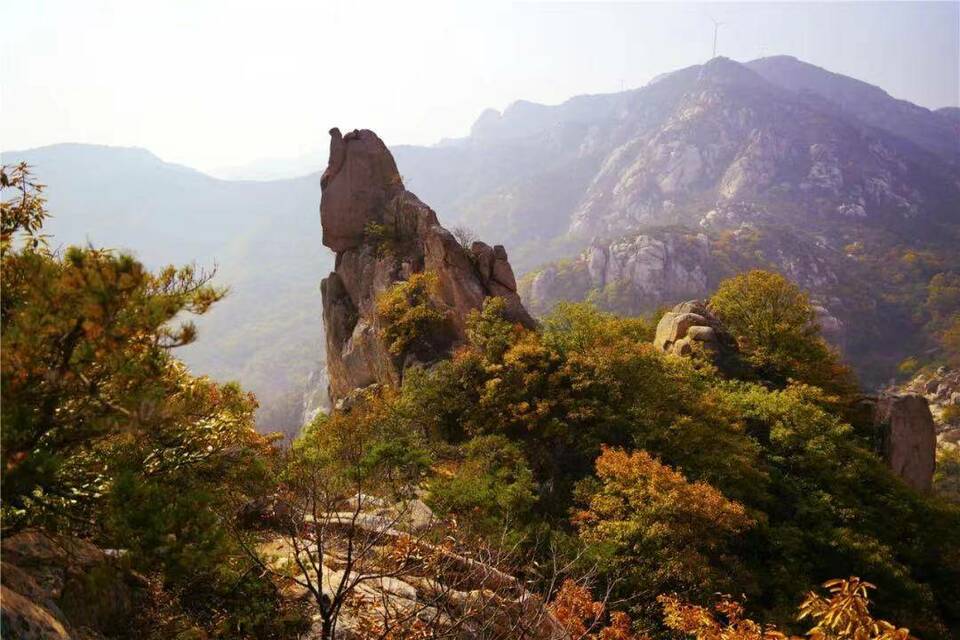 盘点山东“虎”字号景点，新年开启“虎气满满”的旅程