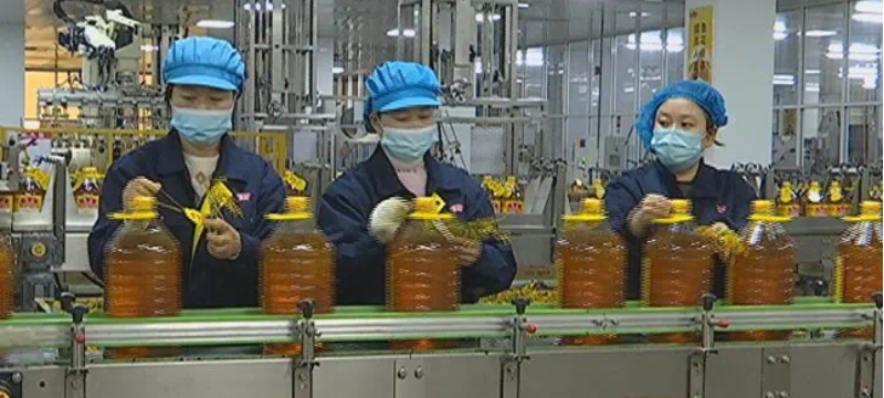【复工复产进行时】西安市应急管理局走进西安市高陵区督导检查企业复工复产安全生产工作