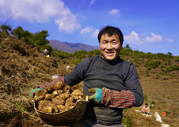 新春走基层｜凉山州雷波：大力发展天麻产业 拓宽增收致富渠道 助推乡村振兴_fororder_mmexport1642929944587