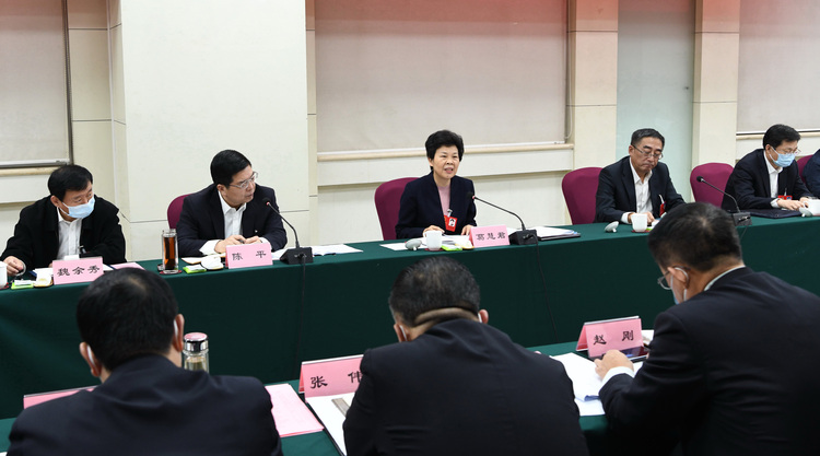 山东省政协党组书记葛慧君葛慧君参加枣庄代表团审议