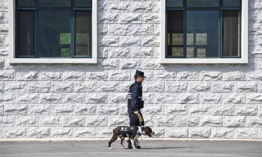 吉林：边境线上的“萌犬奇兵”