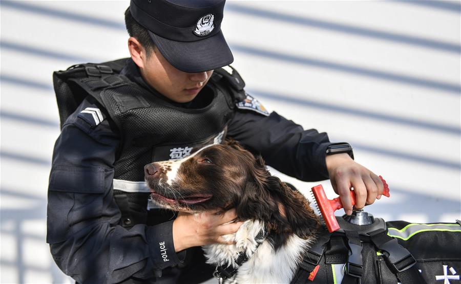 吉林：边境线上的“萌犬奇兵”