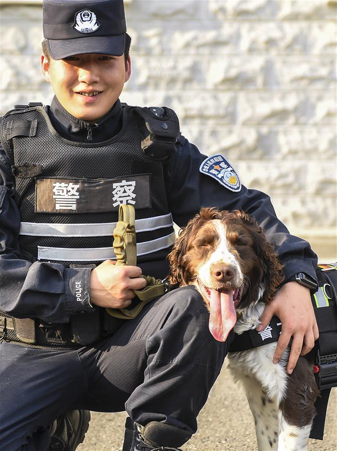 吉林：边境线上的“萌犬奇兵”